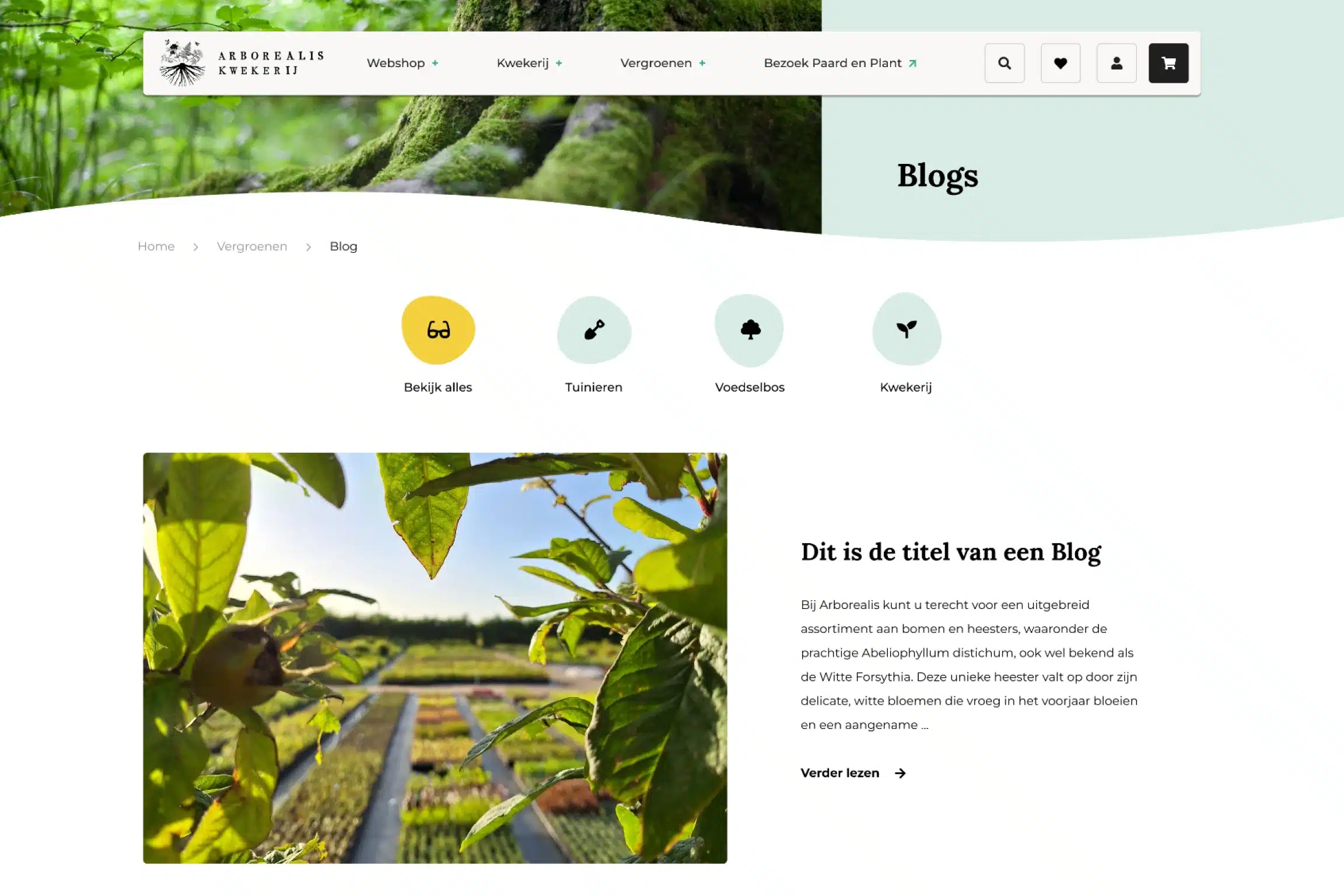 UX Design - Blog Magento 2 webshop Arborealis