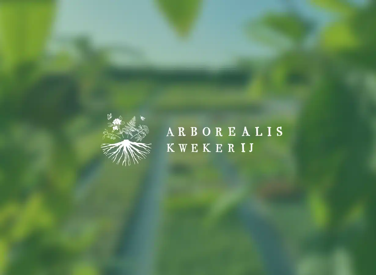 UX Design - Magento 2 webshop Arborealis - Logo